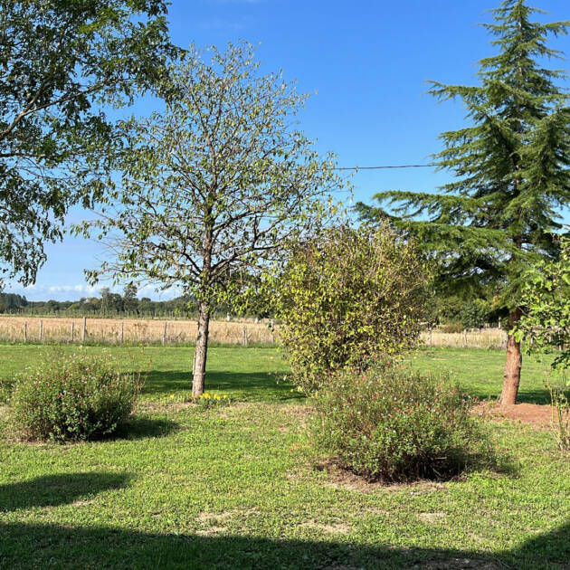 Jardin verdoyant en Sud-Sarthe - sud sarthe