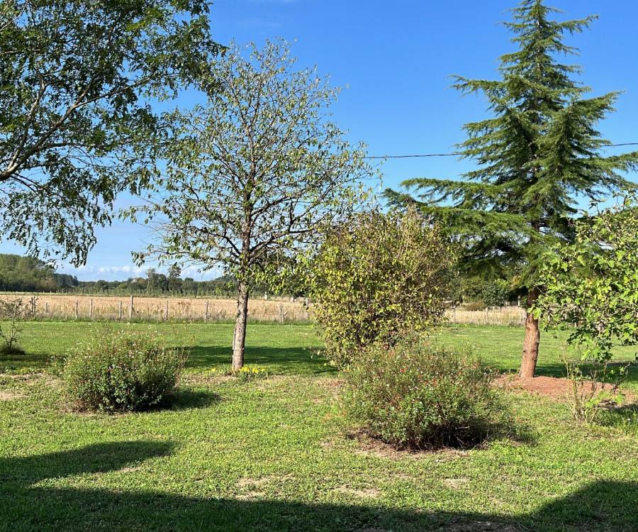 Jardin verdoyant en Sud-Sarthe - sud sarthe